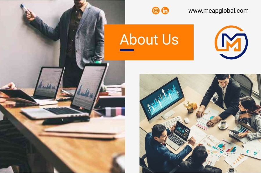 Profil MEAP Global Group1
